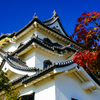 滋賀県旅行１  彦根城