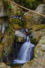 百々目木の滝３