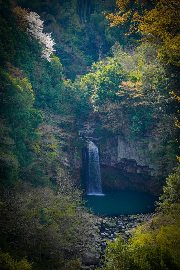 Waterfall in Spring
