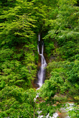 神通峡３　スノ不動滝