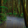 river mist