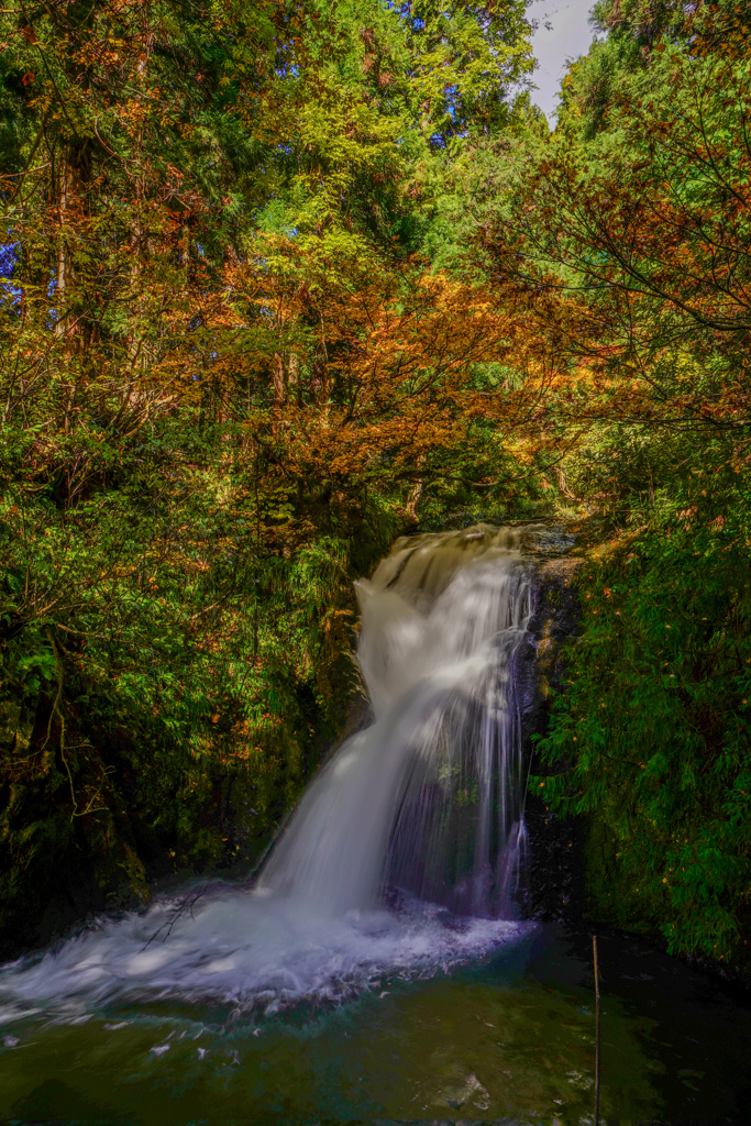 県内で紅葉狩り５　千座川二の滝