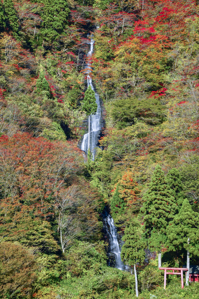 白糸の滝