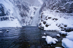 雪の中