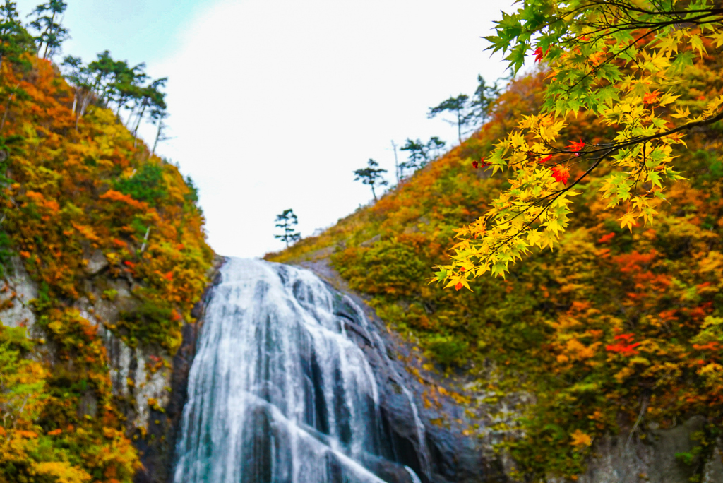 紅葉の向こうに
