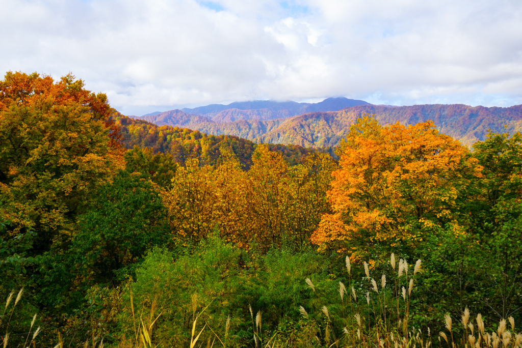 津軽峠の紅葉１
