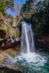 SPRING RAINBOW１
