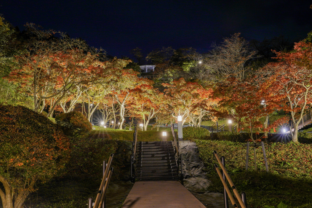 天童公園