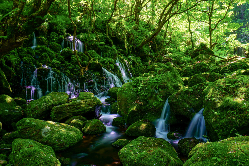 元滝伏流水３