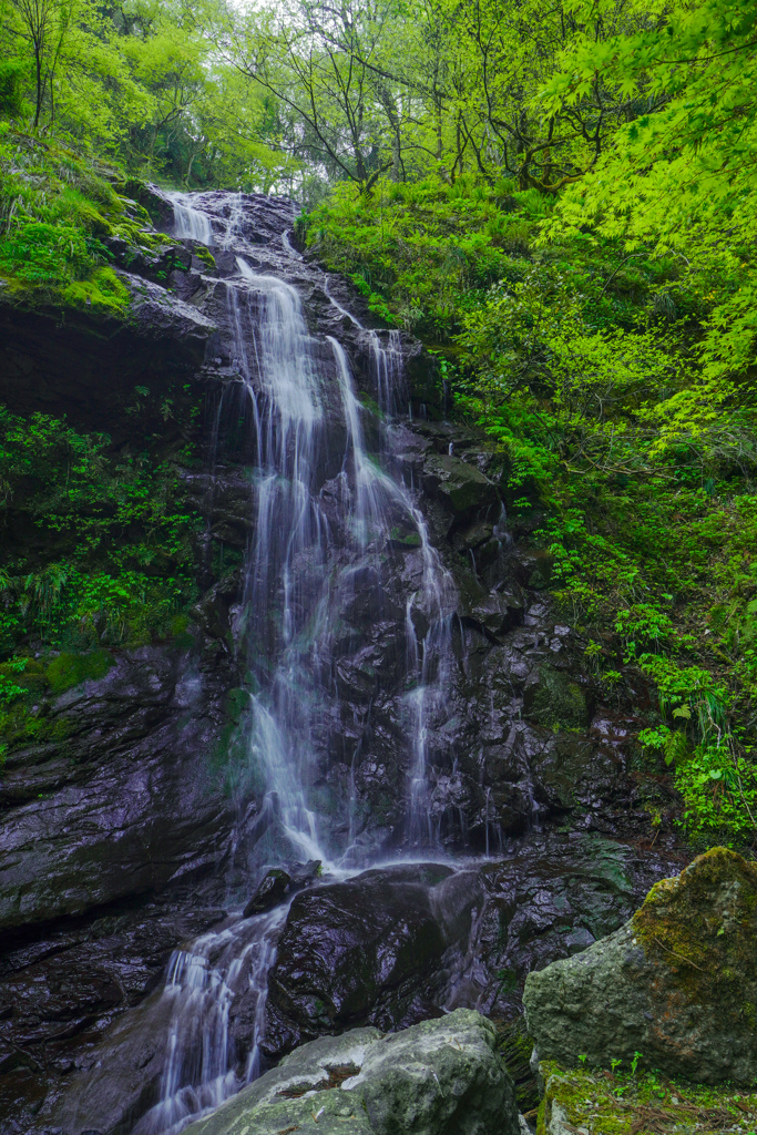 市野々不動滝３