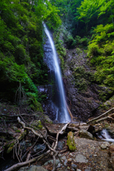 白糸の滝 (山梨県小菅村)