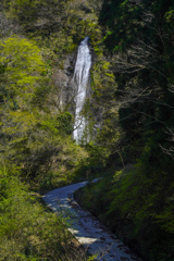 ４月滝巡り６　布ヶ滝
