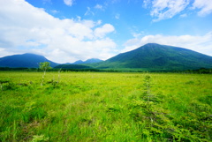 戦場ヶ原