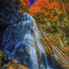 裏磐梯の秘瀑　奥不動滝