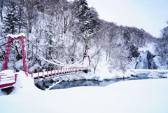 雪に埋もれて