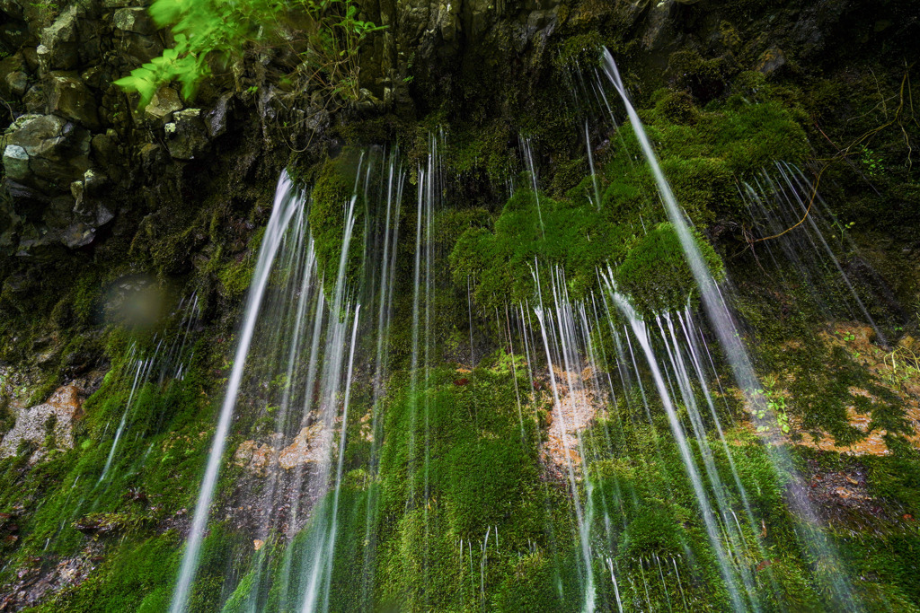 大野川湧水７