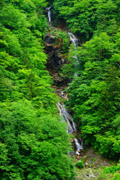 蛇王の滝(日光市)