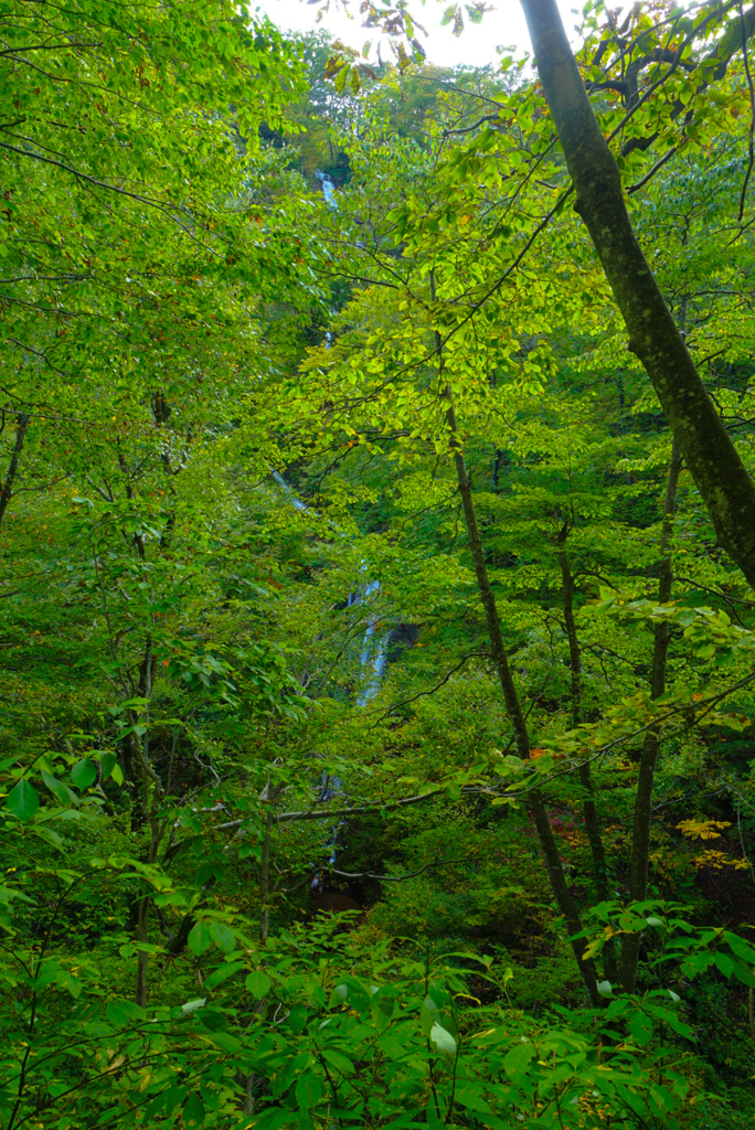 湯沢の滝(山形県鮭川村)