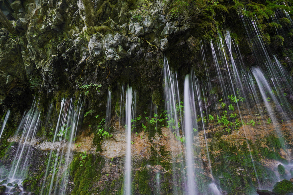 大野川湧水２