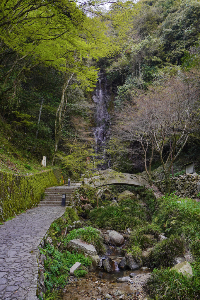 清水の滝１