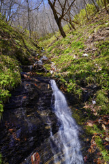 清水の滝