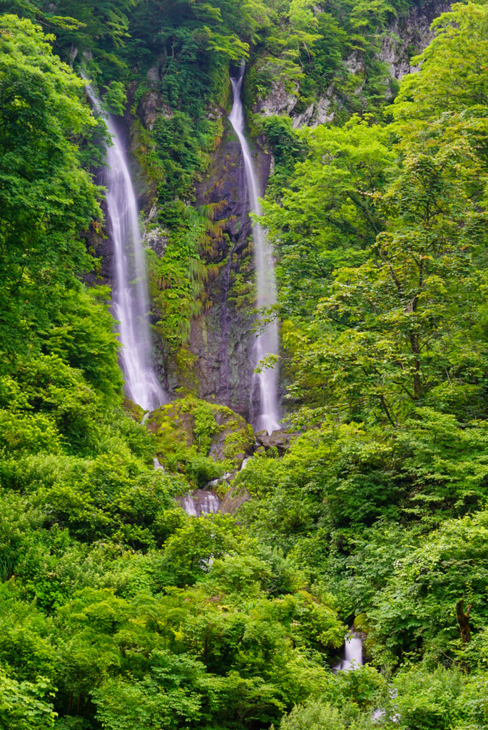 北陸滝巡り24  夫婦滝