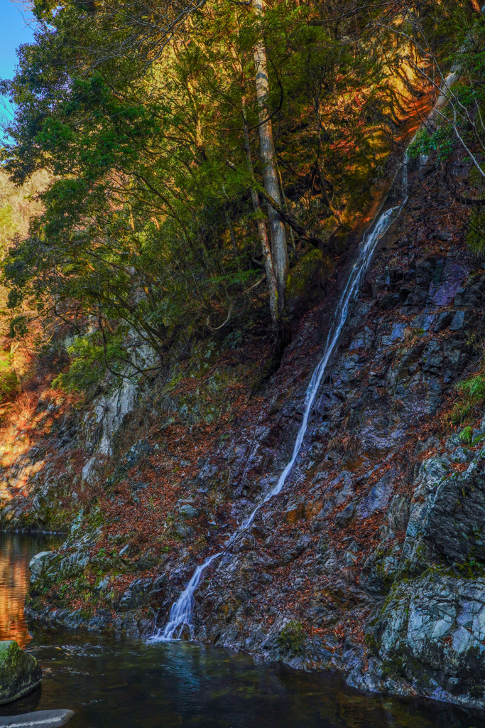 木戸川渓谷７　布滝