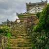 福井旅行  越前大野城