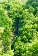 八滝(長野県高山村)
