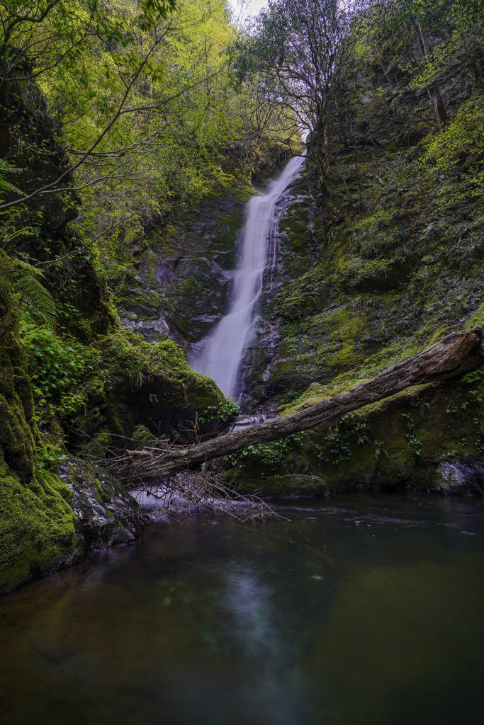 野鹿の滝