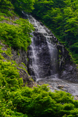 杉倉の滝３