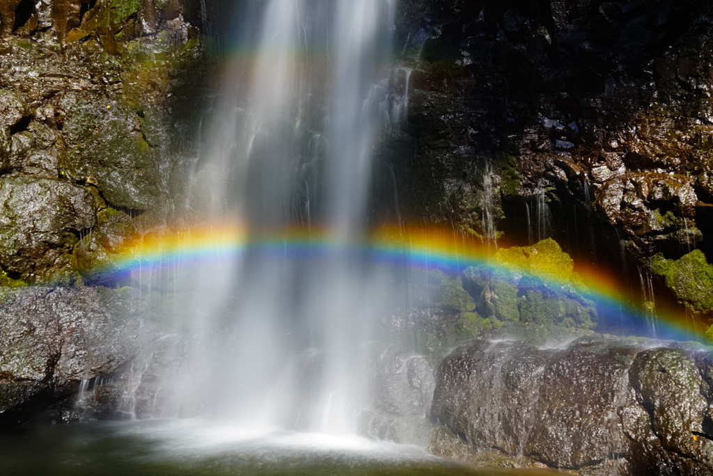 SUMMER  RAINBOW  2