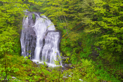 白糸の滝 (岐阜県下呂市小坂町)