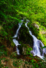 銀右ヱ門滝  (岐阜県高山市)