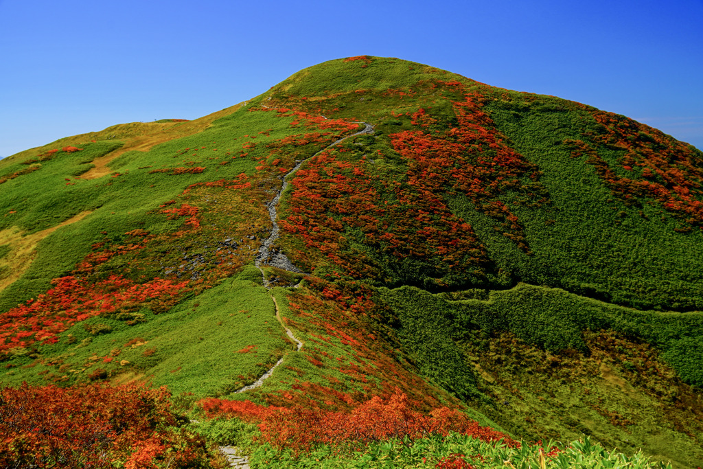 月山９