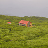 白糸の滝３