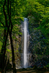 玉簾の滝
