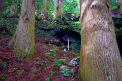 寿司食べに３　不動の滝(箱根山)