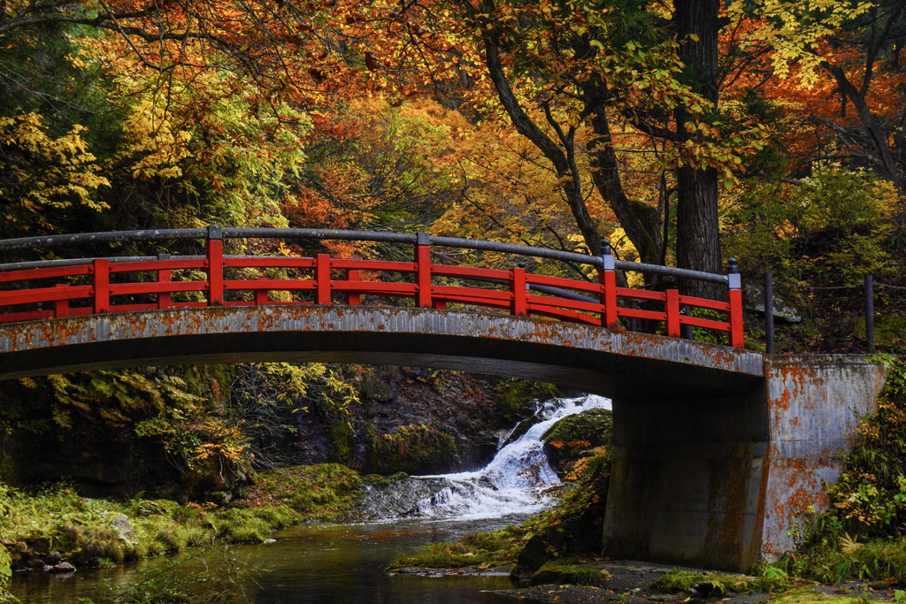 紅葉の銀山温泉４