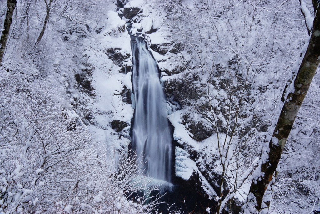 秋保大滝(冬)