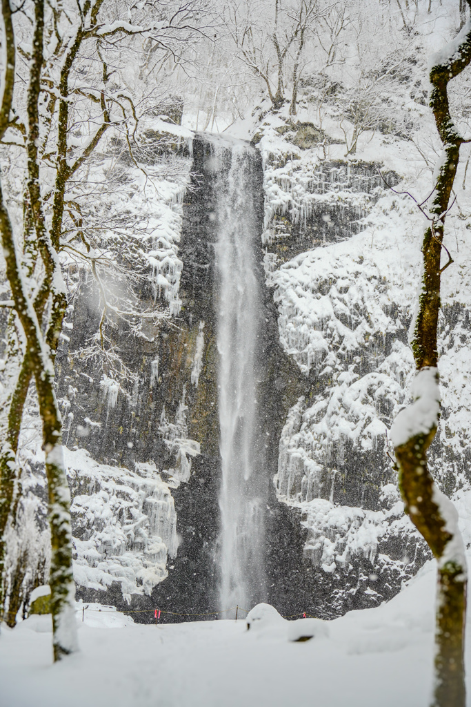 2026年滝初め　玉簾の滝