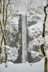 2026年滝初め　玉簾の滝