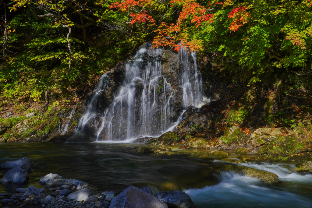 中野もみじ山２