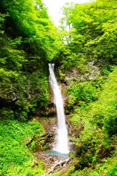 観音滝(山形県上山市)