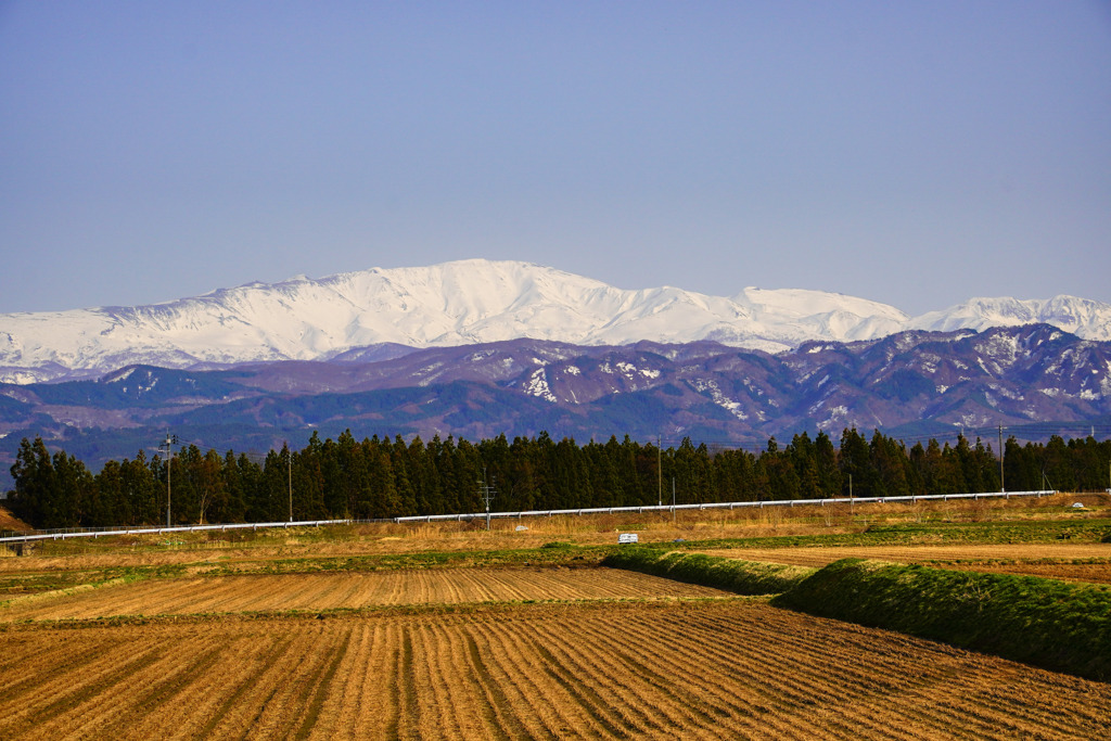 鶴岡側からの月山