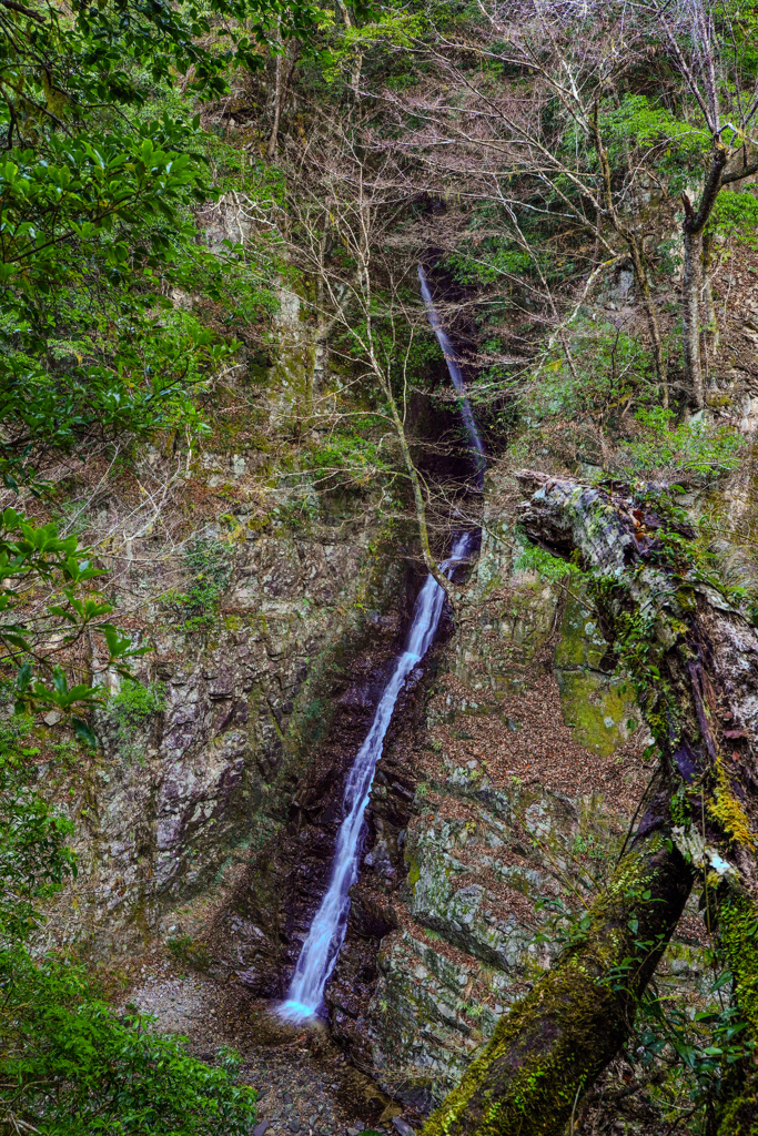 木戸川渓谷１　九竜の滝
