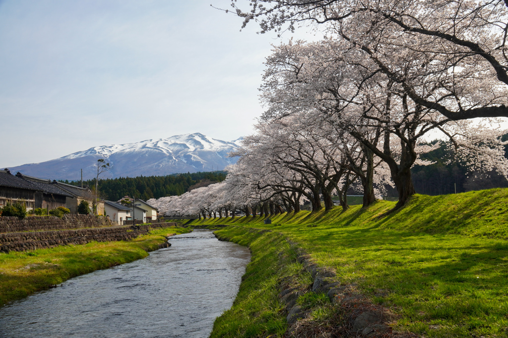 中山河川公園３