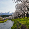 中山河川公園３