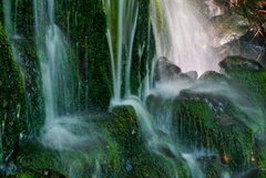 Moss  Fall