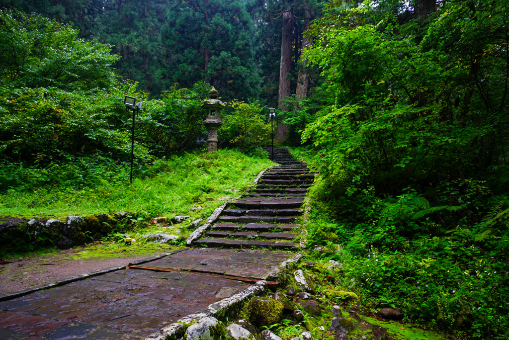 出羽三山神社へと続く道